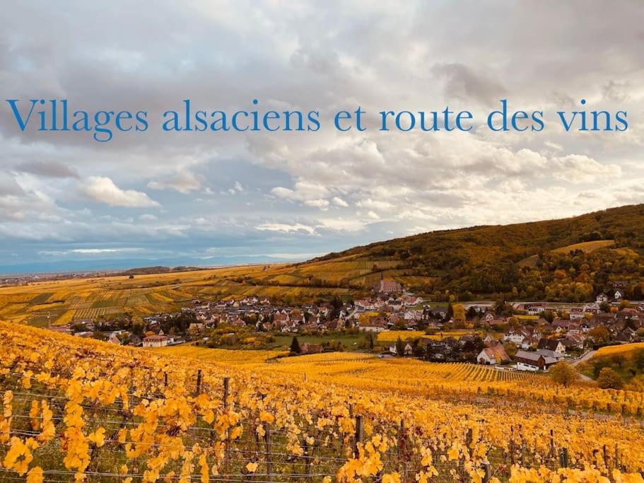 셀레스탓 New L'Industr'Ill Au Coeur De L'Alsace 아파트 외부 사진