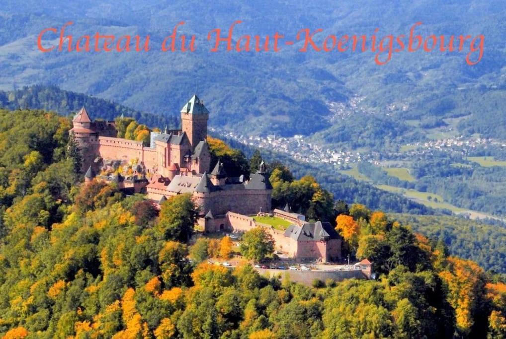 셀레스탓 New L'Industr'Ill Au Coeur De L'Alsace 아파트 외부 사진